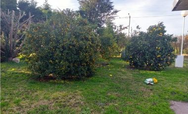 CHACRA 5.250m2  GALPON PQUE FRUTALES QUINCHOS GGE