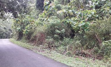 Tanah abeli pelabuhan bungkutoko dan terminal konteiner pelindo 4 kota kendari Sulawesi