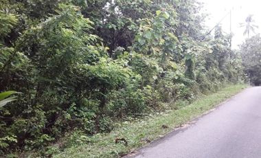 Tanah abeli pelabuhan bungkutoko dan terminal konteiner pelindo 4 kota kendari Sulawesi