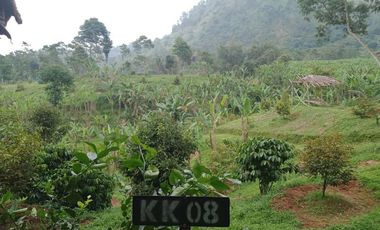 Kavling Kebun Produktif Pesona Alam Pancaniti Bogor