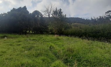VENTA de LOTES en LA CALERA