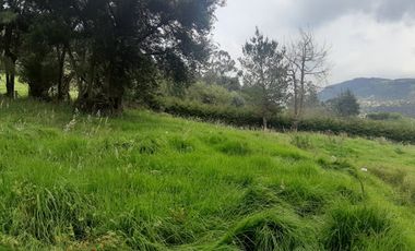 VENTA de LOTES en LA CALERA