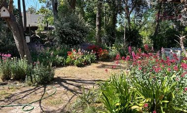 Casa en parcela en arriendo de 4D/3B en Calera de Tango