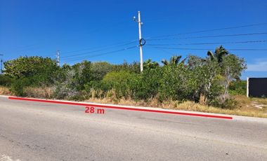 Terreno en venta a pie de carretera con 4 calles en Playa San bruno, Yucatán