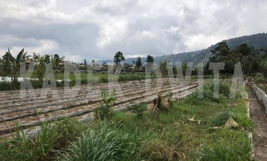 Tanah kebun bedugul dekat bali handara golf hawa sejuk