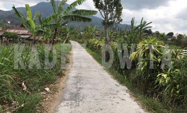 Tanah kebun bedugul dekat bali handara golf hawa sejuk