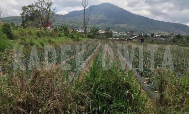 Tanah kebun bedugul dekat bali handara golf hawa sejuk