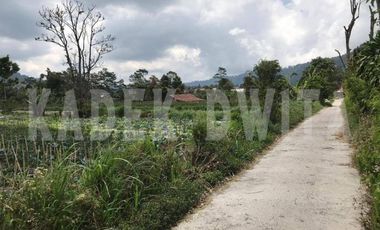 Tanah kebun bedugul dekat bali handara golf hawa sejuk