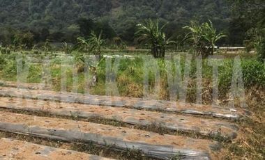 Tanah kebun bedugul dekat bali handara golf hawa sejuk