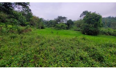 Terreno  uso de suelo residencia, 2 Ha.   via a  Bucay