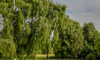 Parcela en Venta en Sector Paraguay Chico
