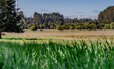 Parcela en Venta en Sector Paraguay Chico