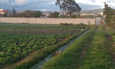 Terreno - Norte de Ambato