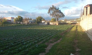 Terreno - Norte de Ambato