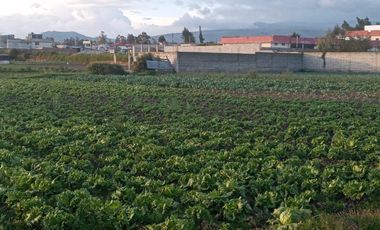 Terreno - Norte de Ambato