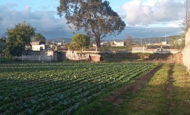 Terreno - Norte de Ambato