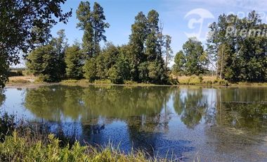 Parcelas en Venta desde UF 1.050 en Coñico, Purranque
