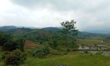MURAH 1000 Meter Perkebunan Pesona Alam Pancaniti BOGOR