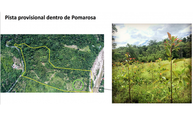 TERRENO CON SALIDA AL RIO CUMBAZA Y CARRETERA