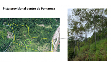 TERRENO CON SALIDA AL RIO CUMBAZA Y CARRETERA