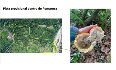 TERRENO CON SALIDA AL RIO CUMBAZA Y CARRETERA