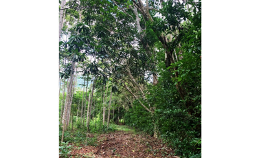 TERRENO CON SALIDA AL RIO CUMBAZA Y CARRETERA