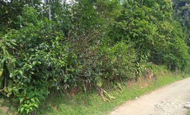 Jual murah tanah kebun akses Mobil dekat pemukiman warga desa pawenang Bojong Purwakarta Jawa Barat