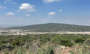 TERRENO EN VENTA, ZAPOTLÁN DE JUÁREZ, HIDALGO