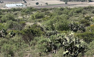TERRENO EN VENTA, ZAPOTLÁN DE JUÁREZ, HIDALGO