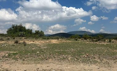 TERRENO EN VENTA, ZAPOTLÁN DE JUÁREZ, HIDALGO