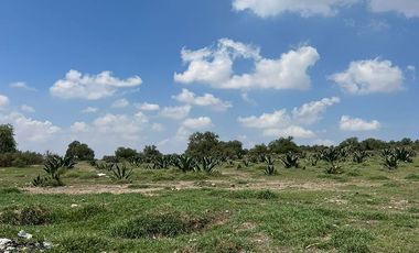 TERRENO EN VENTA, ZAPOTLÁN DE JUÁREZ, HIDALGO