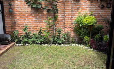 1PLANTA AL NORTE CERCA DCOLOSIO $4200