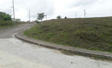 237 Sqm Corner Lot for Sale in Pulangbato Cebu City with overlooking view