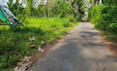 Nyaman Dihuni Rumah Pesan Bangun Lingkungan ASRI dan TENANG