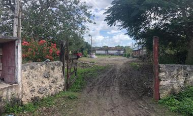 Rancho en Yucatán al sur de Dzilam de Bravo y al este de Yalsihon