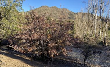 Los Andes, Parcela orilla estero Condominio San Esteban