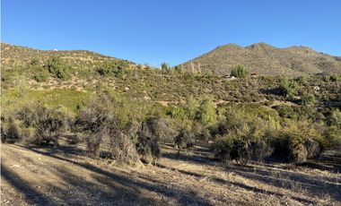 Los Andes, Parcela orilla estero Condominio San Esteban