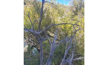 Los Andes, Parcela orilla estero Condominio San Esteban