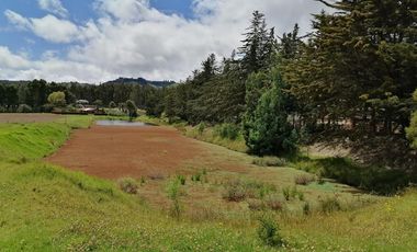 finca en arriendo/venta en vereda nescuata. Cod V3054