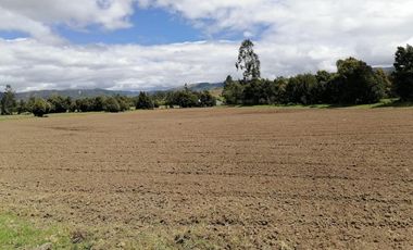 finca en arriendo/venta en vereda nescuata. Cod V3054