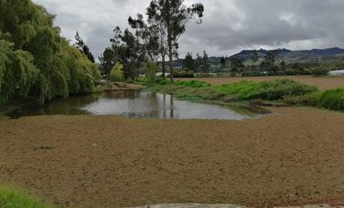 finca en arriendo/venta en vereda nescuata. Cod V3054