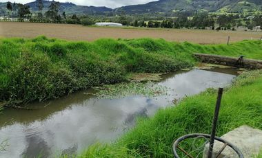 finca en arriendo/venta en vereda nescuata. Cod V3054