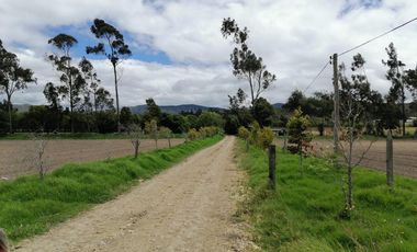 finca en arriendo/venta en vereda nescuata. Cod V3054