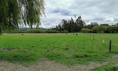 finca en arriendo/venta en vereda nescuata. Cod V3054