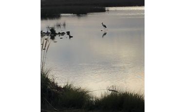 Chacra con casa y pileta. Laguna de Rosario. Pinamar