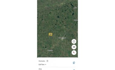 VENTA DE 338 HECTAREAS DE CAMPO MIXTO EN SAN CAYETANO