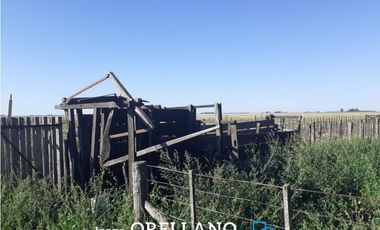 VENTA DE 338 HECTAREAS DE CAMPO MIXTO EN SAN CAYETANO