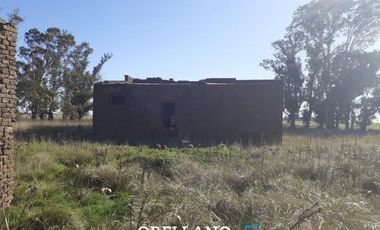 VENTA DE 338 HECTAREAS DE CAMPO MIXTO EN SAN CAYETANO