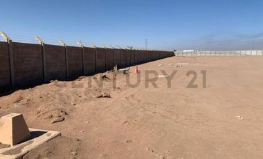 Se arrienda amplio terreno de 5.000 m² en zona industrial La Negra