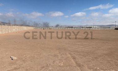 Se arrienda amplio terreno de 5.000 m² en zona industrial La Negra